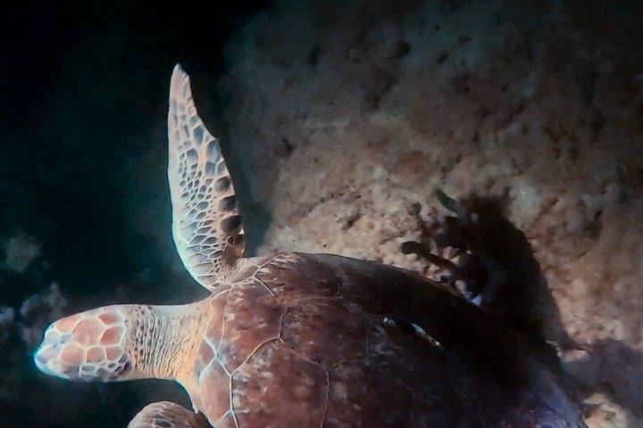 ダークシュノーケルアドベンチャー後