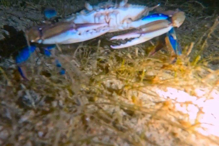 ダークシュノーケルアドベンチャー後