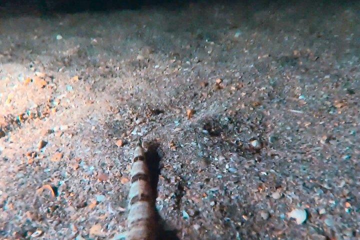 ダークシュノーケルアドベンチャー後