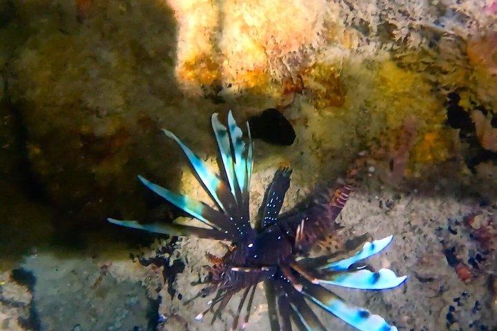 ダークシュノーケルアドベンチャー後