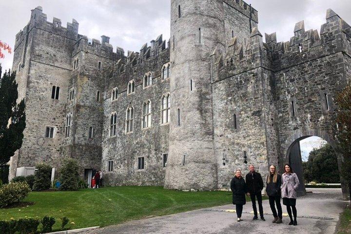 Privater Transfer vom Flughafen Dublin oder Dublin nach Kilkea Castle