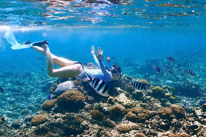 Orange Bay Island: Viagem de snorkeling com transferências, almoço e muito mais!