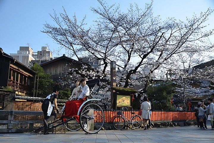 エキスパート現地ガイド付き京都ドライブツアー