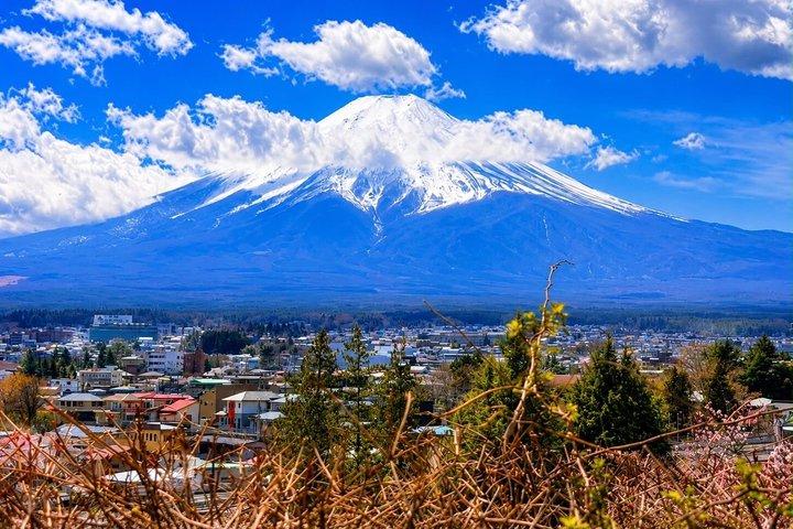 英語ドライバー付き富士山プライベートツアー