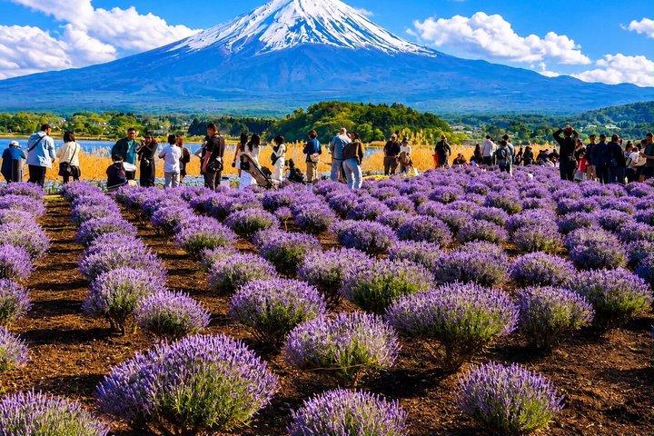 英語ドライバー付き富士山プライベートツアー