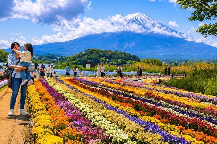 英語ドライバー付き富士山プライベートツアー
