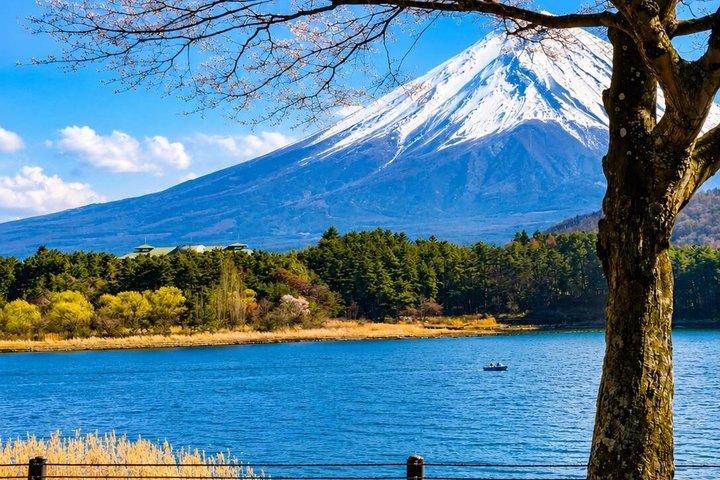 英語ドライバー付き富士山プライベートツアー