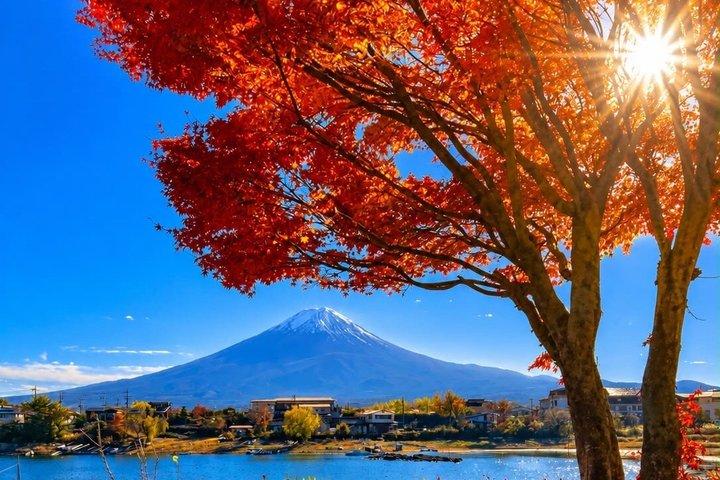 英語ドライバー付き富士山プライベートツアー