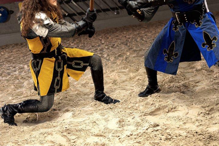 オーランドのメディーバル タイムズ ディナー ショー