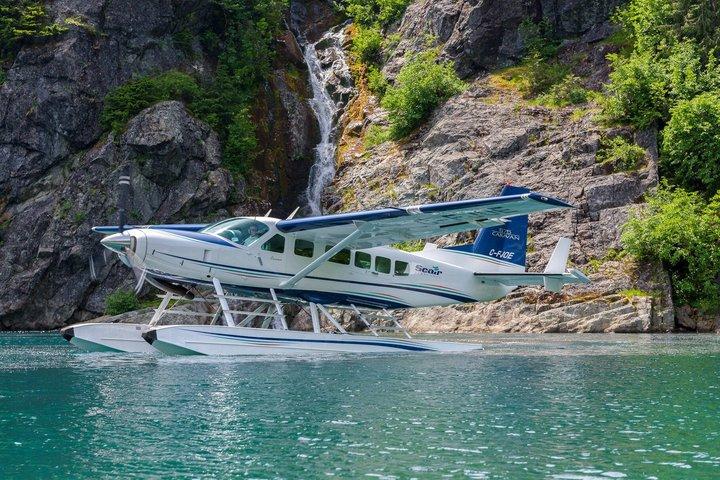 氷河とアルパイン湖の水上飛行機ツアー素晴らしい山の景色