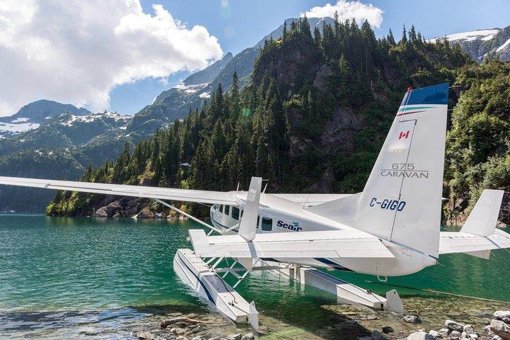 氷河とアルパイン湖の水上飛行機ツアー素晴らしい山の景色