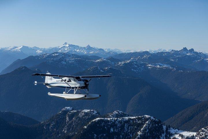 氷河とアルパイン湖の水上飛行機ツアー素晴らしい山の景色