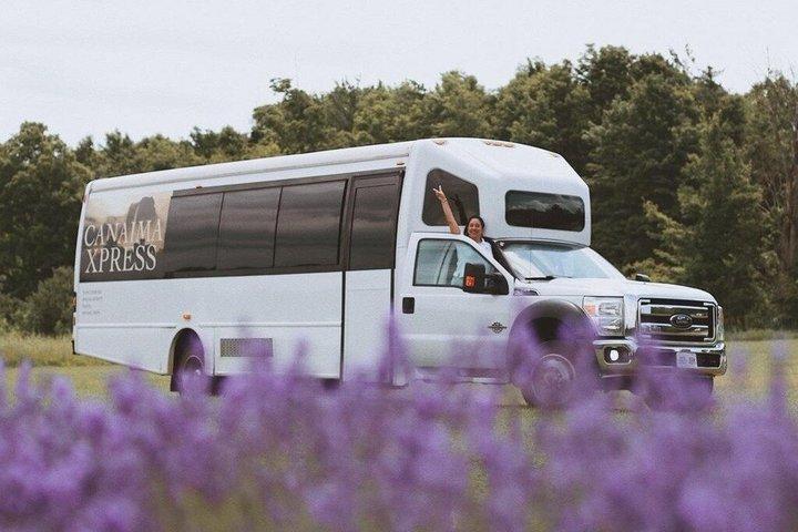 Private 23 Passenger Bus Charter with Professional Driver