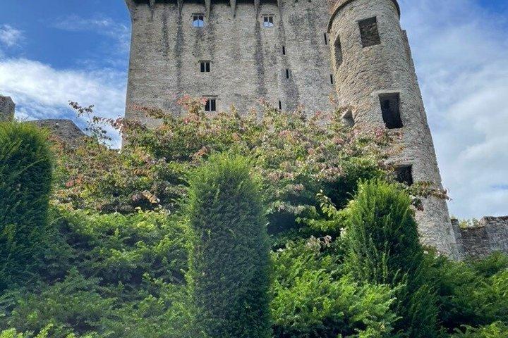 Privater Transfer vom Flughafen Dublin oder Dublin nach Cork