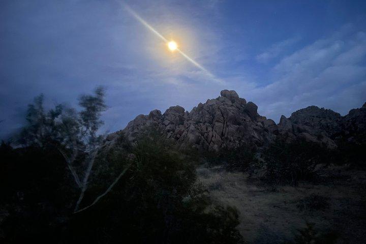 Starlight Hike in Joshua Tree National Park
