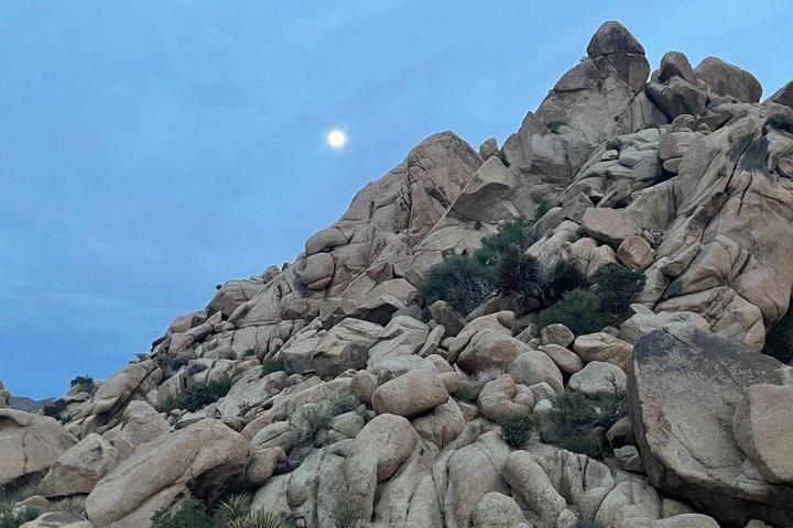 Hoteller i nærheden af Joshua Tree National Park