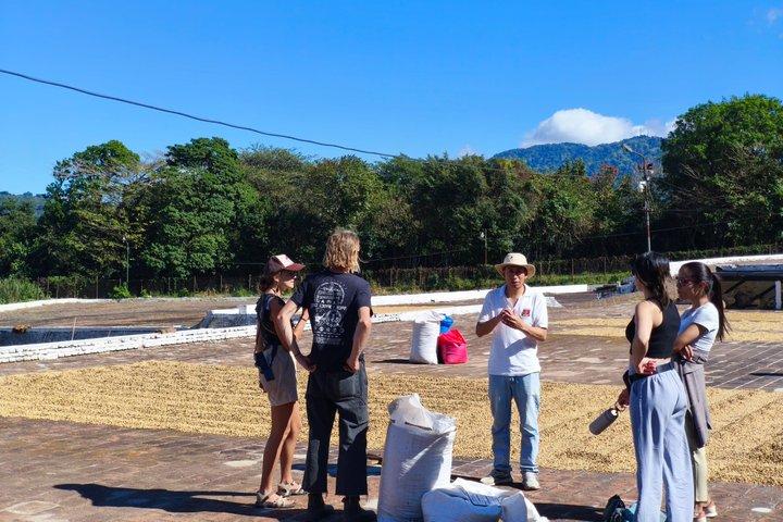 ルタ・デ・ラス・フローレス冒険、温泉、1930年代のコーヒー農園ツアー