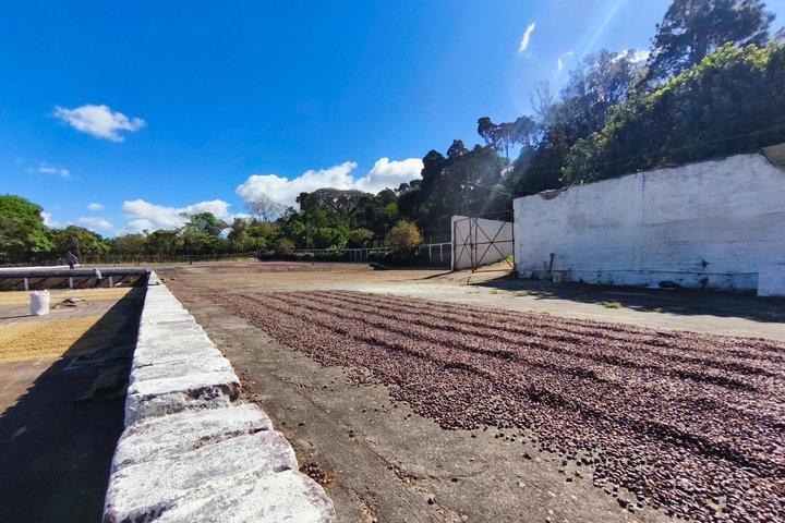 ルタ・デ・ラス・フローレス冒険、温泉、1930年代のコーヒー農園ツアー