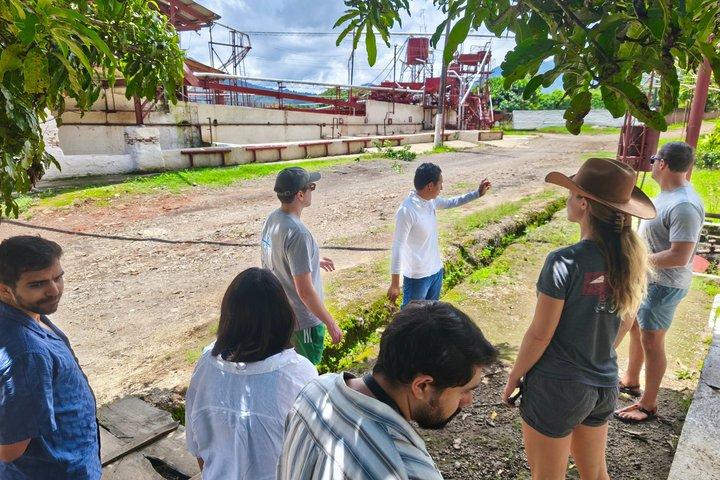 ルタ・デ・ラス・フローレス冒険、温泉、1930年代のコーヒー農園ツアー