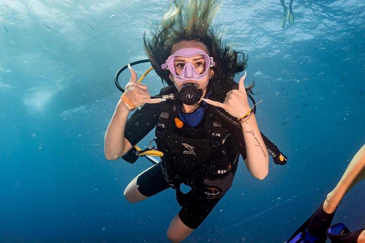 Isla Mujeres Beginner/Family Scuba Diving Experience