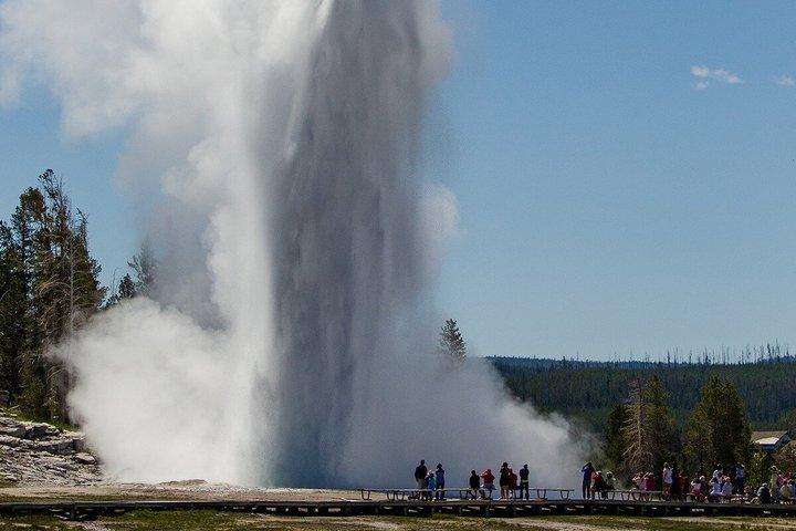 Private Yellowstone Lower Loop Experience and complimentary lunch
