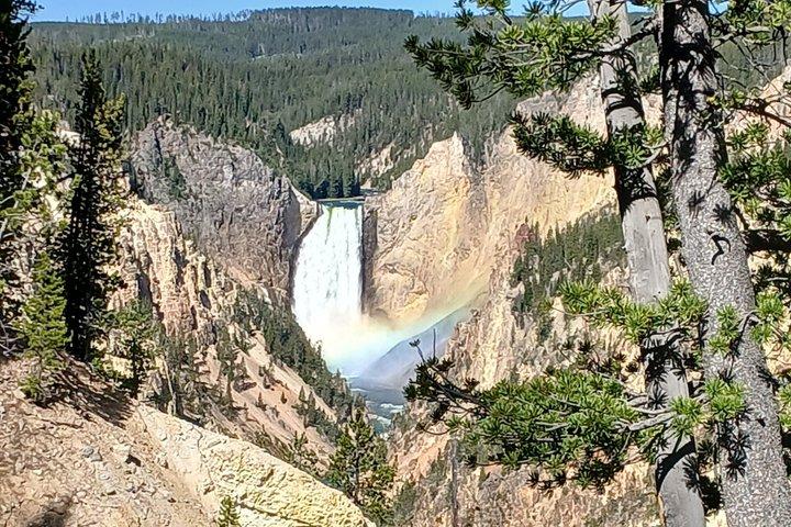Private Yellowstone Lower Loop Experience and complimentary lunch
