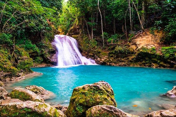 キングストンからオチョ・リオスへ：ダンズ川の滝とブルーホール（往復）