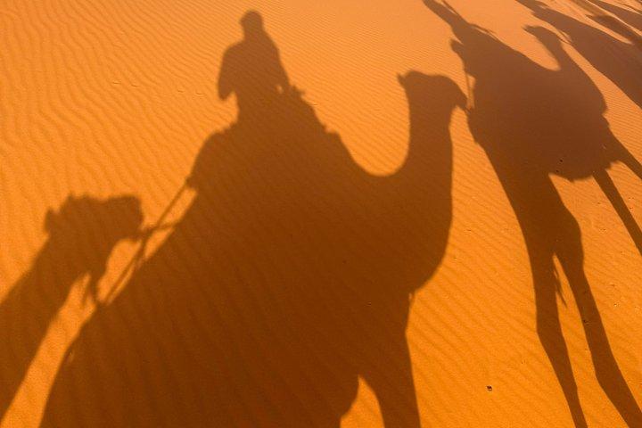 3-dages ørken tur fra Marrakech & tilbage, Del & privat