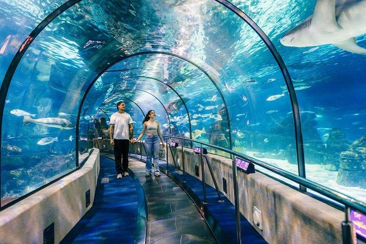 Biljetter till Barcelona Aquarium