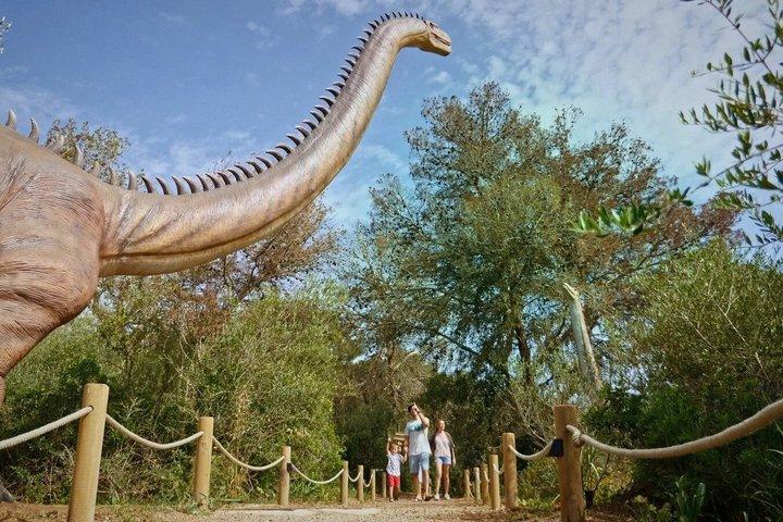 マヨルカ島のハムス洞窟と恐竜ランドへの家族旅行
