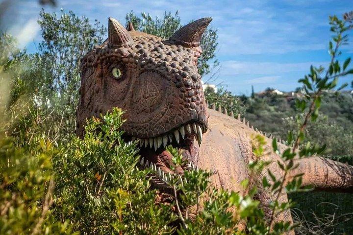 マヨルカ島のハムス洞窟と恐竜ランドへの家族旅行