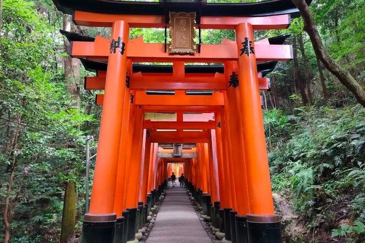 Kyoto Osaka und Nara Tour