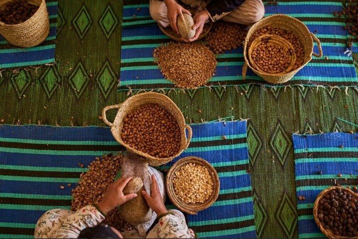 Taroudant Half Day Tour and Goat Tree Visit