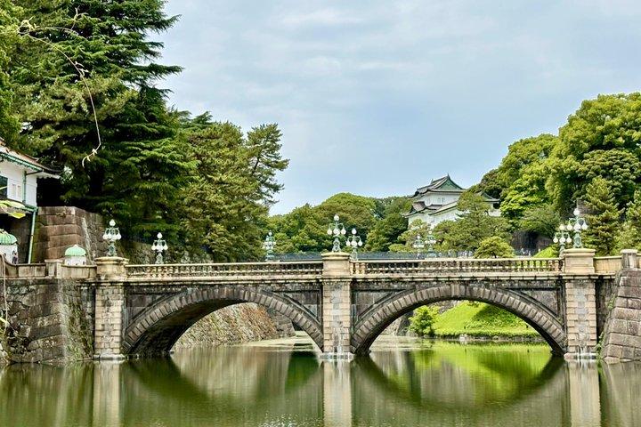 Tokyo privat anpassad tur med bil & Guide : Tsukiji, Asakusa & mer