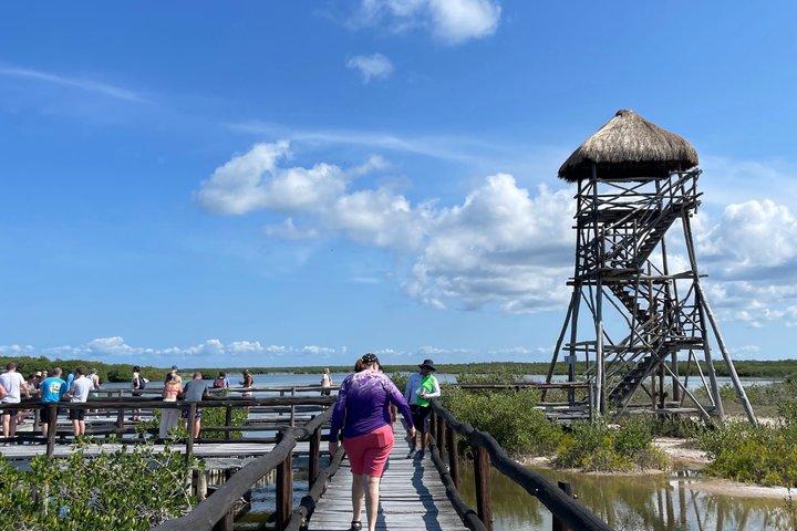 Cozumel: Punta Sur Eco Park Private Excursion - Jeep or Minivan