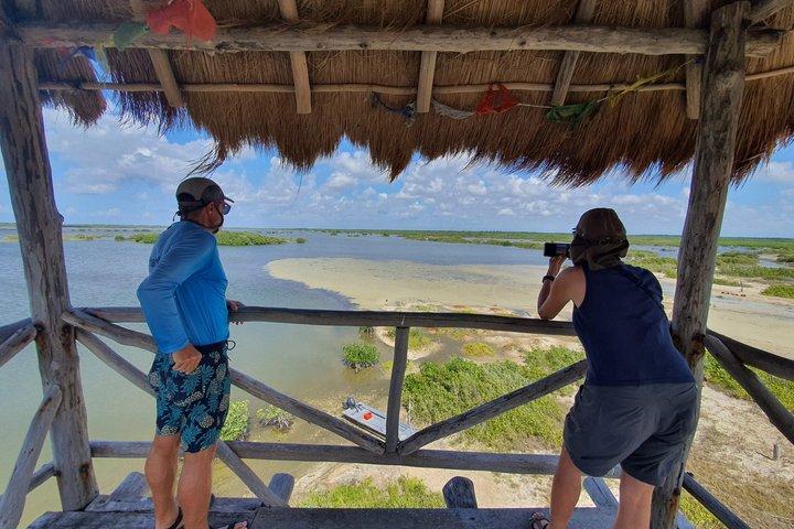 Cozumel: Punta Sur Eco Park Private Excursion - Jeep or Minivan