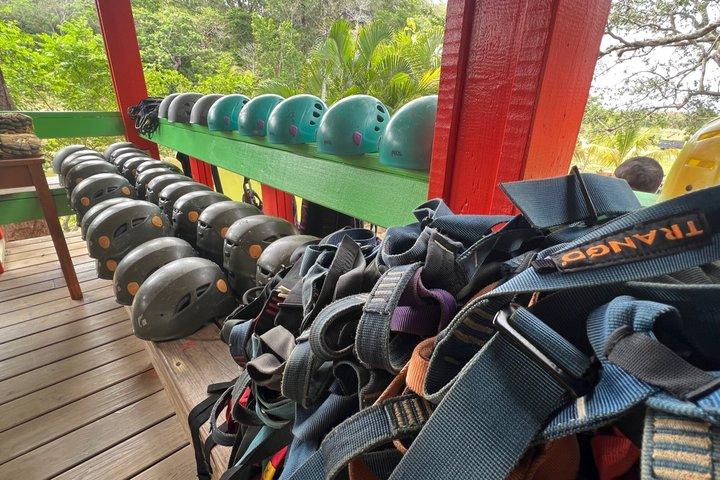 Roatan 35-Minute Private Guided Canopy Zipline Tour