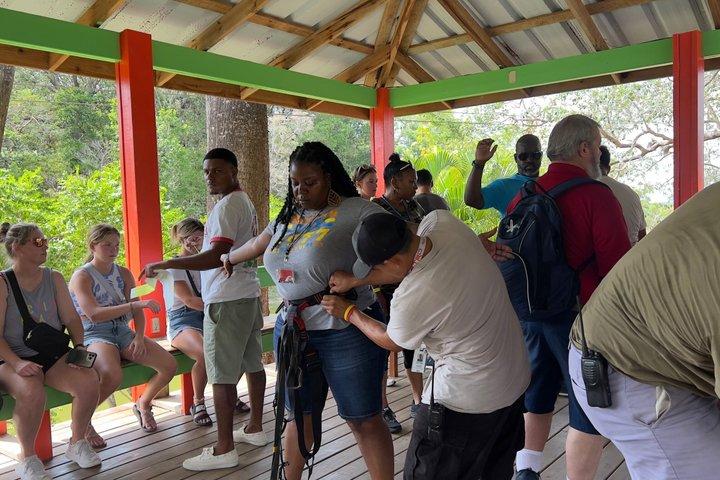 Roatan 35-Minute Private Guided Canopy Zipline Tour
