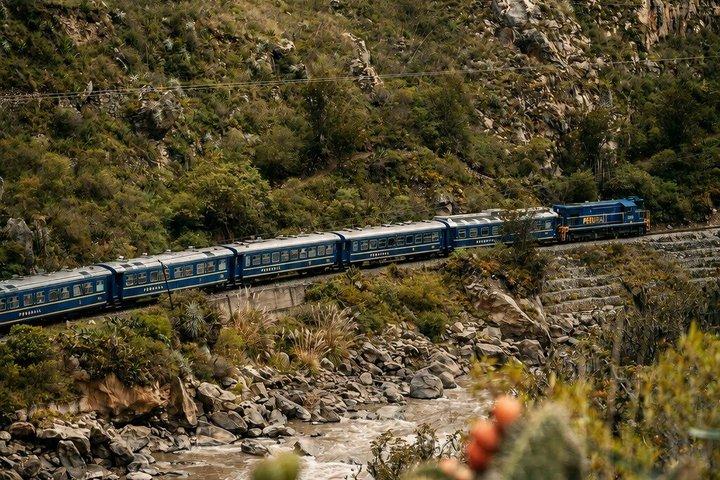 Excursion d'une journée au Machu Picchu avec Vistadome Train