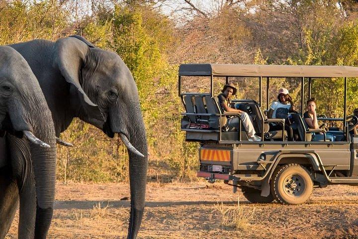 ミクミサファリアドベンチャー：ザンジバルから飛行機で1日
