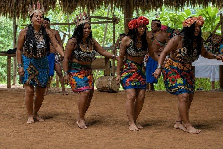Private Tour: Emberá, Waterfall and Chagres River