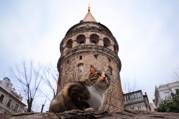 Echoes in Istanbul - A Cinematic Audio Journey Through the City