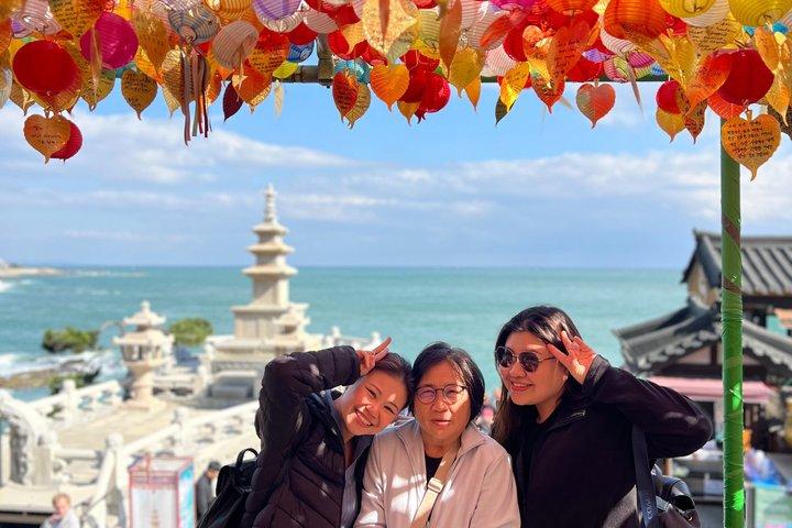 Private Busan Shore Excursion: City Highlights for Cruise Guests