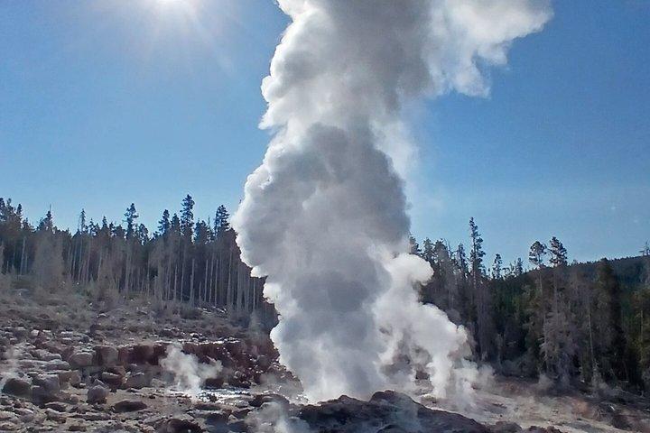 Private Yellowstone Lower Loop Experience and complimentary lunch