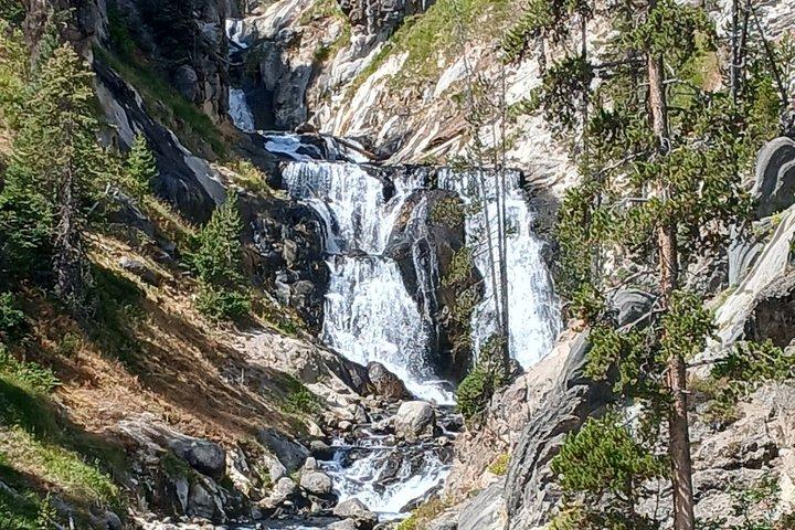 Private Yellowstone Lower Loop Experience and complimentary lunch