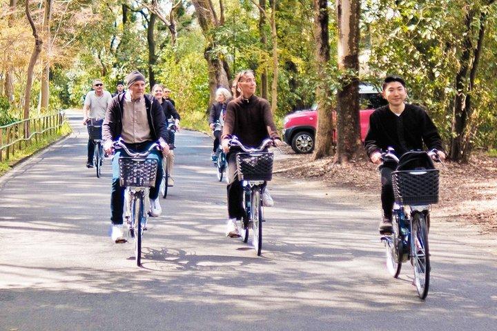 京都：伏見稲荷、隠れた名所と地元文化をEバイクで巡る