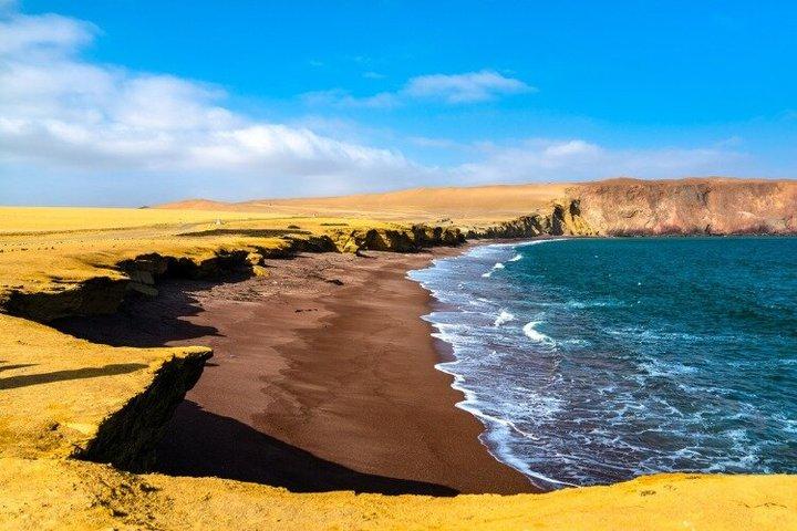 Excursion d'une journée complète à Paracas et Huacachina au départ de Lima : Sunset Experience