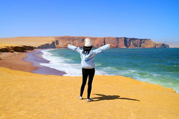 Excursion d'une journée complète à Paracas et Huacachina au départ de Lima : Sunset Experience