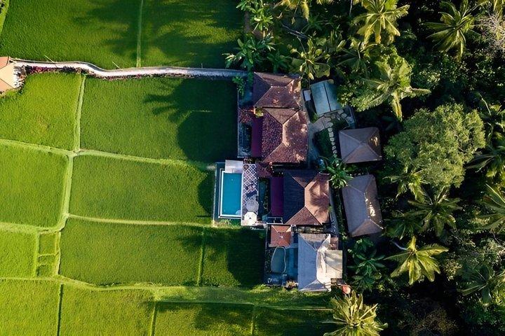 7 Days Community Yoga Retreat in Ubud Bali