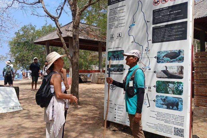 プライベートスピードボートで行くコモド1日旅行